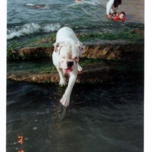 Jumping right in