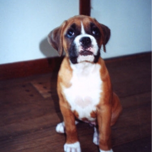 dylan 10 weeks