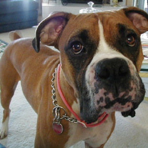 First Photo of Buster