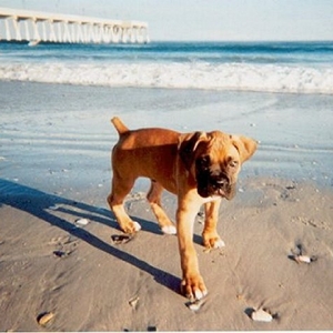 Lifes a beach