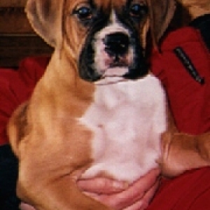 Tallie @ 8 weeks