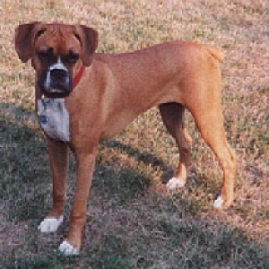 Tallie @ 6 mos.