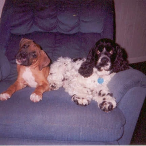 Best buds