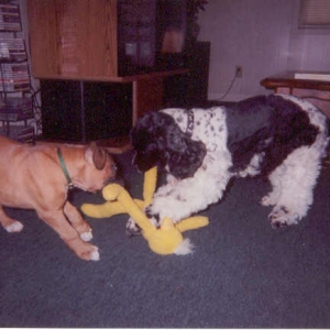 This is mine!!