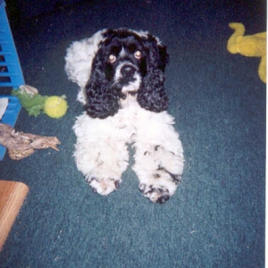 Jake Feb 2002