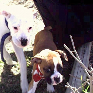 julie and rockie