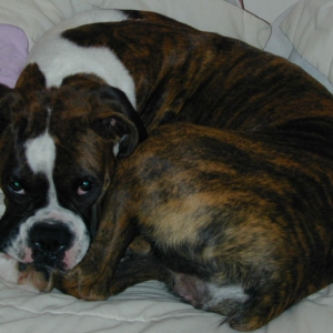 little baby