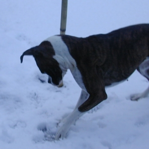 first time seeing snow( since last winter)