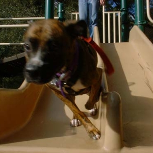 SLIDE!!!!!!
