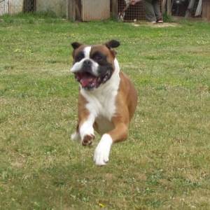 Eric....Flying!!