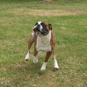 Eric....Ready to Fly!!