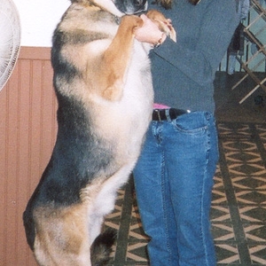 Big Boy