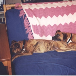 You make a nice pillow