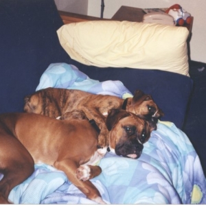 Sisters at heart.
