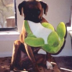 Dallas & His Frog