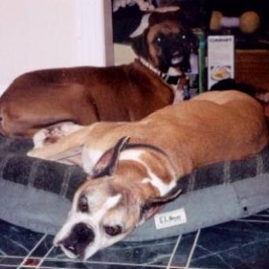 Sharing a bed