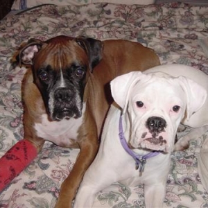 Chance and Maddie