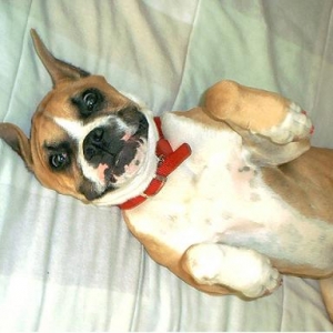 Silly Face