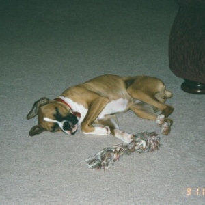 Sleeping like a little baby.