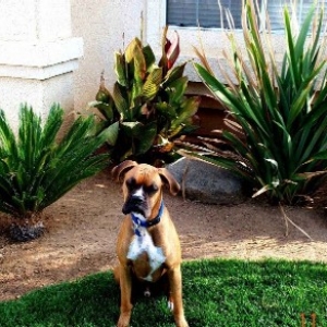 Titus Being Stubborn