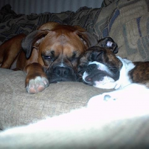 Karma wore me out!
