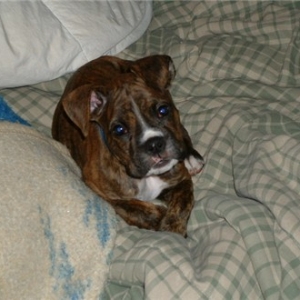 Why did you wake me?