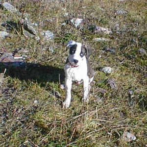 Athos ma premiere grande ballade