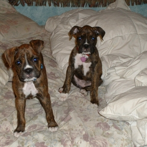 Aren't we cute?