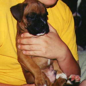 Baby Scrapper