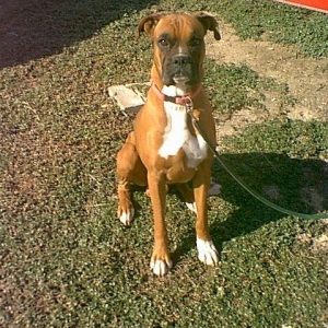 Mack Sitting