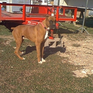 Mack 2