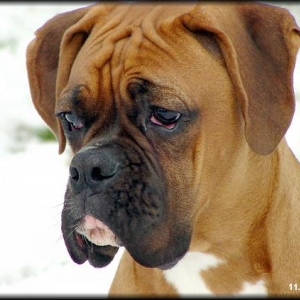 My handsome man scoping out the snow