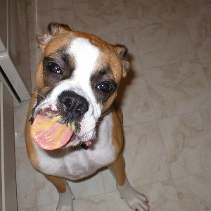peanutbutter