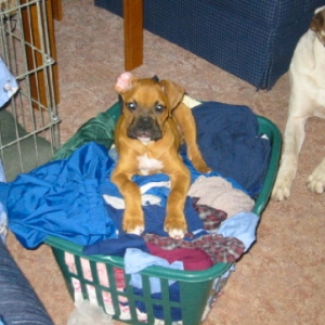 I don't remember washing that?!?!