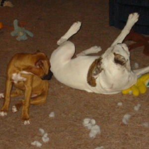 Did it snow in here?