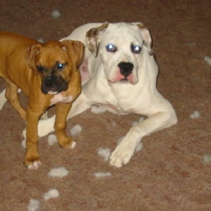 We didn't do it, really mom!