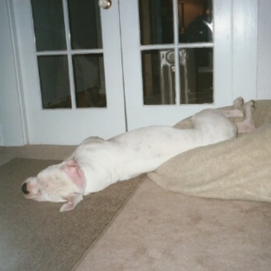 Finn falling off his bed asleep