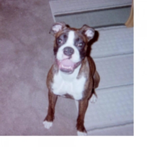 Mommy, I wasn't doing anythiing....