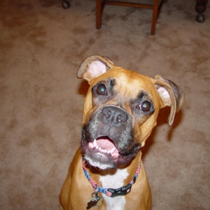 Libby Smiling