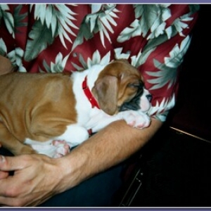 I'm Soooo Sleepy