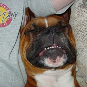 Just Call Me Snaggleteeth