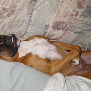 Posing for Playdog