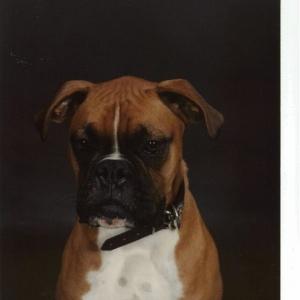 Mugshot