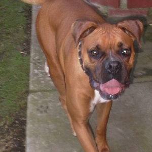 Duke's buddy Timmy