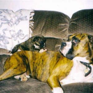 What is it???  Get it off me daddy!!!