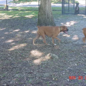 The fun passes by...