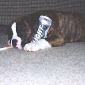 long night