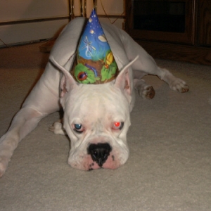 Its My Birthday!