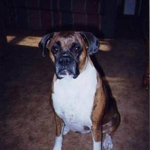 Lacey