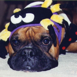 Why did Mom make me wear this stupid hat??